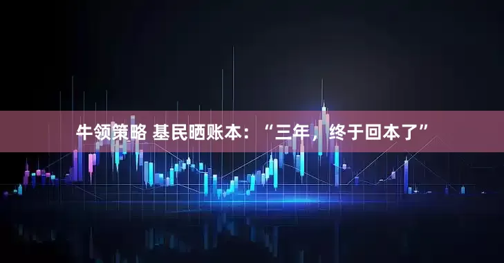 牛领策略 基民晒账本：“三年，终于回本了”