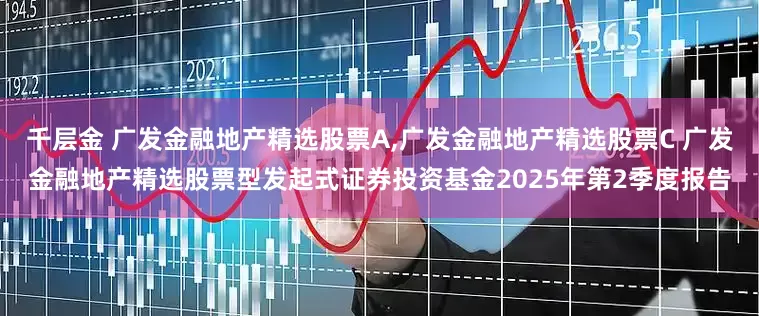 千层金 广发金融地产精选股票A,广发金融地产精选股票C 广发金融地产精选股票型发起式证券投资基金2025年第2季度报告