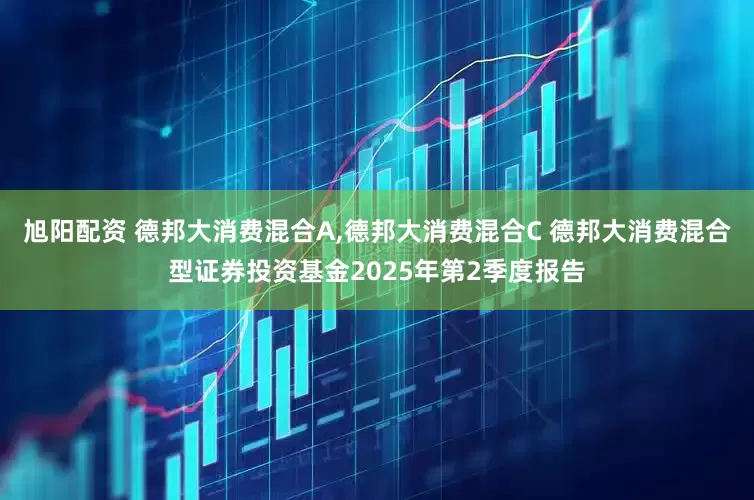 旭阳配资 德邦大消费混合A,德邦大消费混合C 德邦大消费混合型证券投资基金2025年第2季度报告